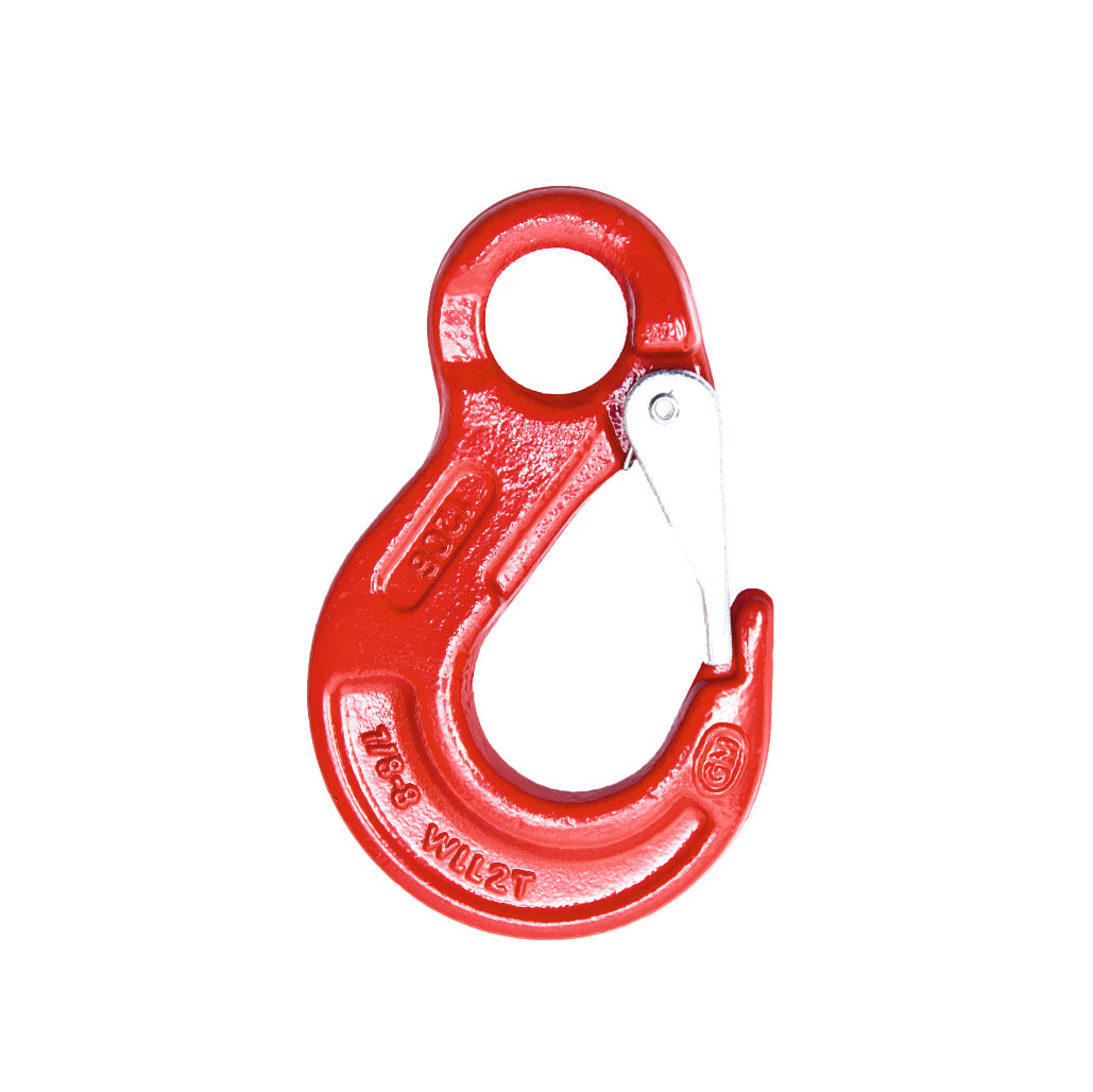 G80 Latch Hook – Eye Type